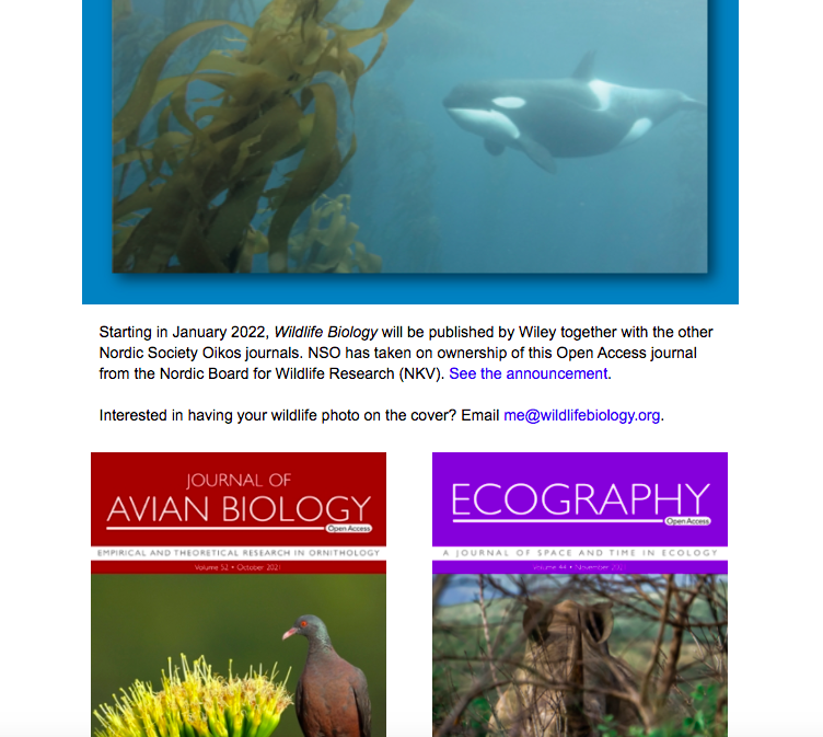 Screenshot of newsletter